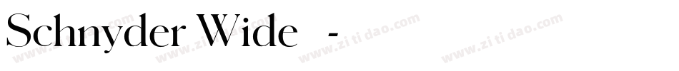 Schnyder Wide 字体字体转换